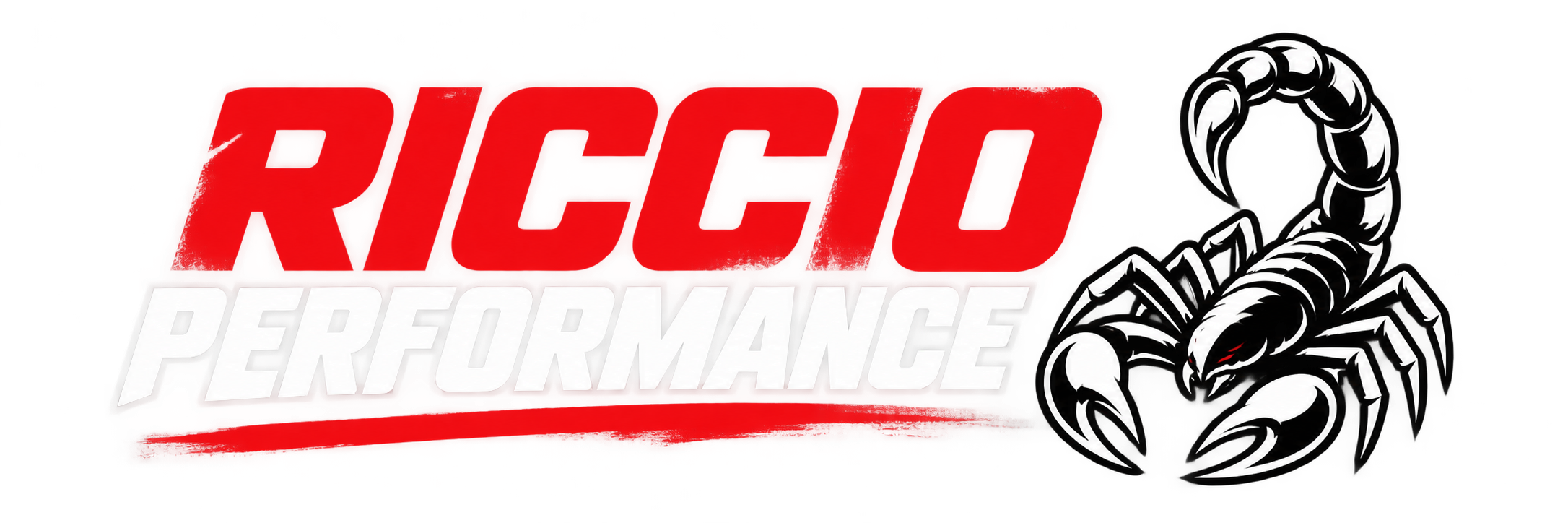 RiccioPerformance